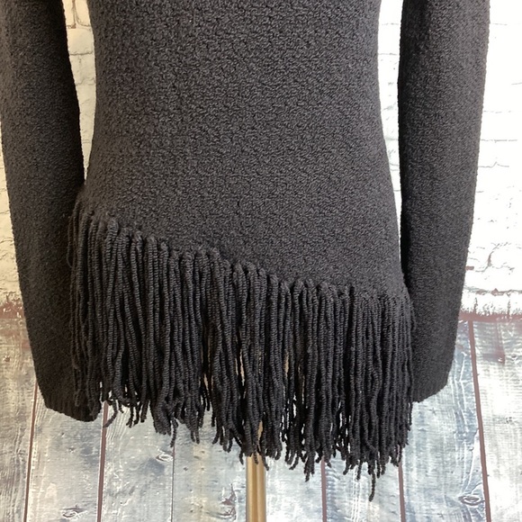 THEORY Sweater Hudina Asymmetrical Fringe Crew Merino Wool XS Luxury Elevated - Picture 9 of 16